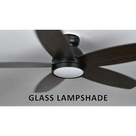 Carro 52" Ceiling Fan with Light Flush Mount, DC 10 Speeds Silent Ceiling Fan with Remote, Low Profile, with 3 Dual Finish Blades, 3 Light Colors Dimmable LED, for Living Room