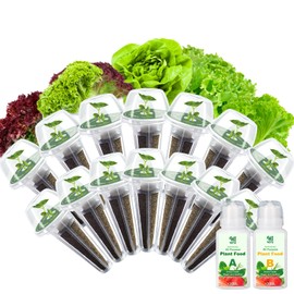 14 PODs Lettuce Seed Pod Kit for AeroGarden, Included Red and Green Leaf, Romaine, Bibb Lettuce, Boston Lettuce, Grow Anything Seed Starter Pod Kit Compatible with All Hydroponics (14-Pod)