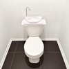 Sinkology SinkPositive GreenFlow Toilet Tank Sink