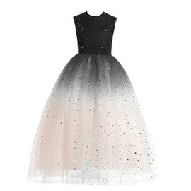Glamulice Champagne Flower Girls Dress Ombre Vintage A-Line Princess Sparkle Tulle Fancy Pageant Formal Dresses Bridesmaid Party Dance Gown Girl Wedding Maxi Holiday Christmas Ball Gown Black 13 14