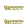 Japan Commerce Shell Curtain Clip, Gold, 1.0 inches (25 mm),