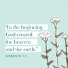 God of Creation - Bible Study Book Revised: A Study