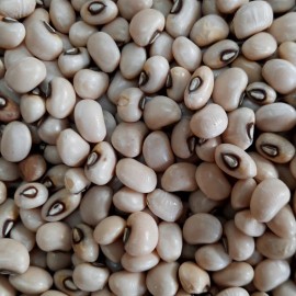 MySeeds.Co Top Pick Pinkeye Purple Hull, Cowpea (Vigna Unguiculata) Vegetable Seeds - 1 oz (~120 Seeds)