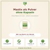 Mastix Comfort (28 Bags) Masticlife