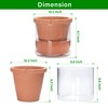 D'vine Dev 10 Inch Design Self Watering Pot for Indoor