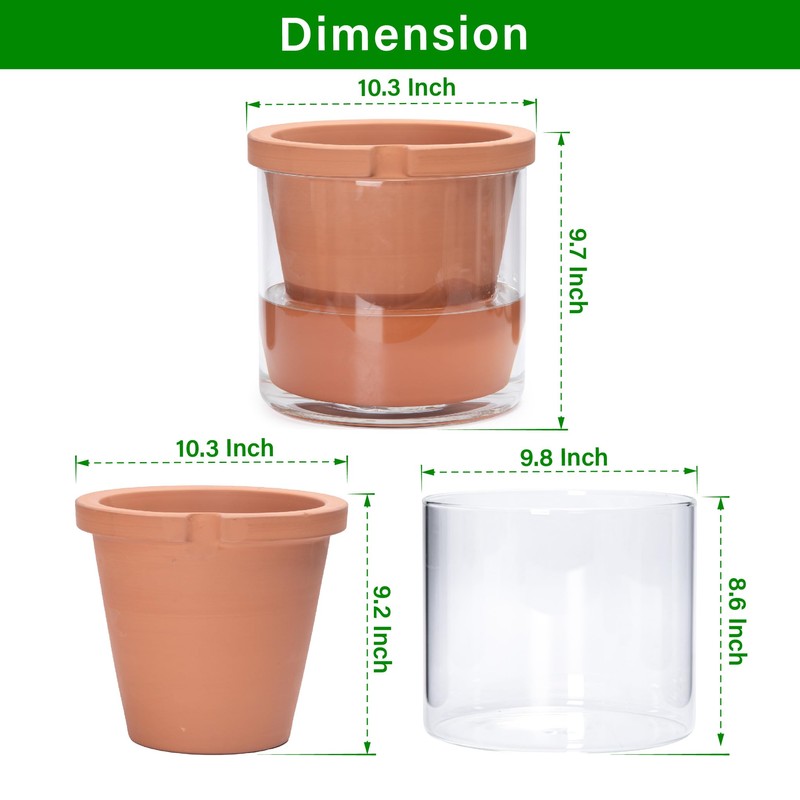 D'vine Dev 10 Inch Design Self Watering Pot for Indoor