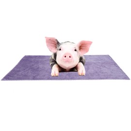 Dog Throw Blanket, Washable Fluffy Fleece Puppy Blanket Warm Soft Pet Blanket for Small Medium Dogs or Cats(L-100 * 80cm-Purple)