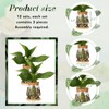 Baderke 12 Packs Propagation Vases for Plants Plastic Plant Propagation