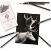 HIFORNY 12 Pieces Charcoal Pencils Drawing Set - Super Soft,Soft,Medium