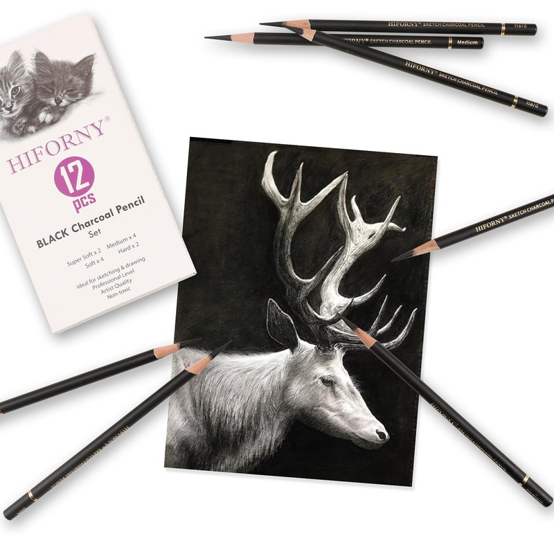 HIFORNY 12 Pieces Charcoal Pencils Drawing Set - Super Soft,Soft,Medium