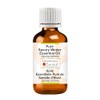 Greenwood Essential Pure Savory Winter Essential Oil (Satureja Montana) Steam