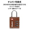 Master Lock 4692JADBRN Padlock, TSA Lock, Dial, Password Setting, Small,