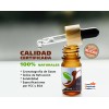 BARRO MOJADO Paquete De 3 Aceites Esenciales Grado Alimenticio