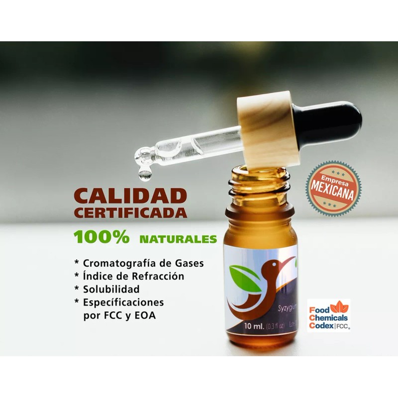 BARRO MOJADO Paquete De 3 Aceites Esenciales Grado Alimenticio