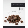 Incensera Myrrh Incense Resin 50 g Resin for Smoking Natural