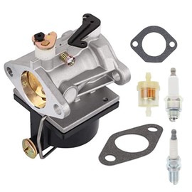 Cnfaner 640065 640065A Carburetor for Tecumseh OHV110 OHV115 OHV120 OHV125 OHV130 OHV135 Mower Engines