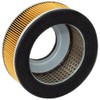 Hiflofiltro HFA2911 Filtro de Aire Premium OE de Repuesto Negro
