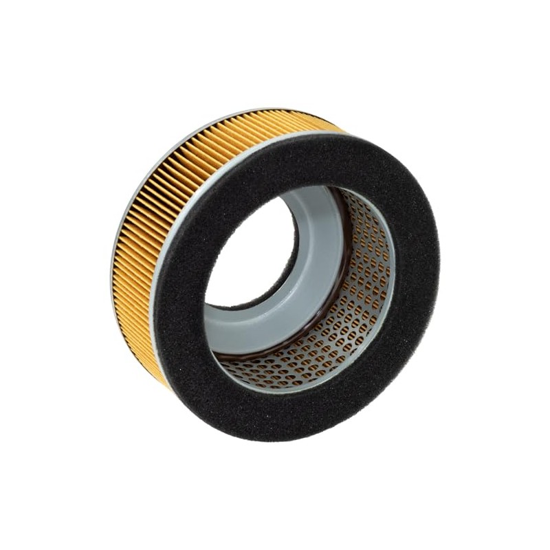 Hiflofiltro HFA2911 Filtro de Aire Premium OE de Repuesto Negro