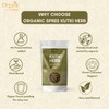 Organic Spree Kutki Herb 100gm (3.52oz) Picrorhiza Kurroa – Katuka