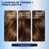 Clairol Nice 'n Easy Permanent Hair Color, 5 Medium Brown,