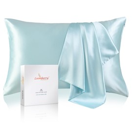 LOOMBERRY 100% Pure Mulberry Silk Pillowcase for Hair and Skin, 6A Grade 22 Momme Silk Pillow Cases with Zipper, Soft Cooling Washable Both Sided Silk Pillow Cover (Aqua Blue, King 20''x36’’)
