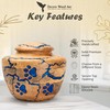 Pet Urn for Dogs Ashes - Paw Pet Urn for