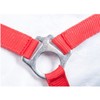 HKM by Reiterladen24 Basicline Headcollar Red Shetty