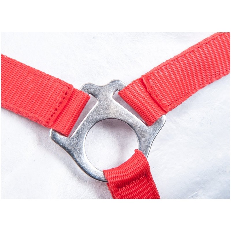 HKM by Reiterladen24 Basicline Headcollar Red Shetty