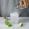 Arora 21oz Double Wall Stainless Steel Cocktail Shaker with insulated