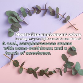 MAXTITE MAXTITE Ultra-Concentrated Hydrogen Peroxide Cleaner - Eucalyptus Scent, 1 Gallon, 4 Pack - Universal Cleaner for Home Surfaces, Glass & Carpet (Dilution Required)