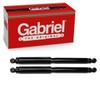 2 pc Gabriel Rear ProGuard Shock Absorbers compatible with Ford
