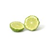 Gerald Winters and Son Kaffir Lime Tree Starter Plant. Citrus