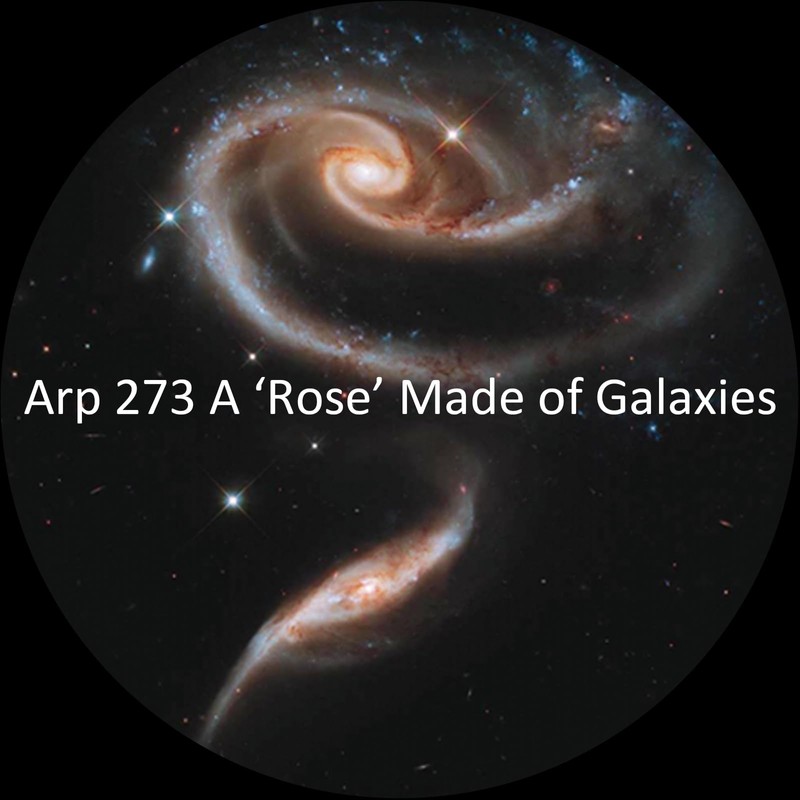 Realistic Discs - Discs for Ainael Meteor and Galaxy Projector,