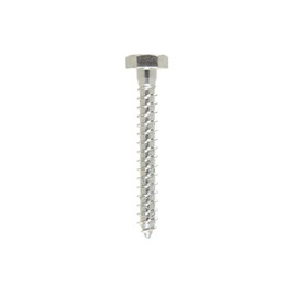Hillman 1/4 in. x 2 in. L Hex Zinc-Plated Steel Lag Screw 100 pk