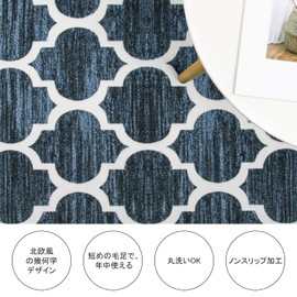 HAOCOO Moroccan Pattern, Scandinavian Style, Indoor, 19.7 x 31.5 inches (50 x 80 cm), Small Rug, Stylish, Washable, Rectangle, Fluffy, Anti-Slip, Memory Foam, Soundproof, Rug, Outdoor, Dirt Removal,