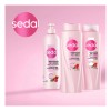 Sedal Recarga Natural Hidratacin Anti-Nudos 620mL shampoo para cabello maltratado
