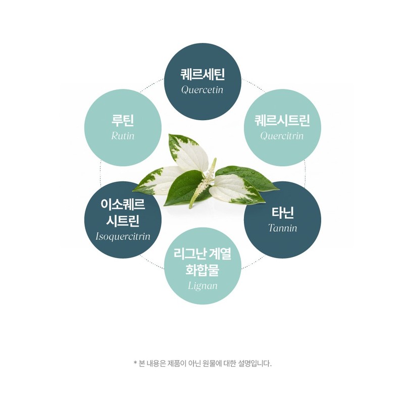 Camellia sinensis extract phyto-quercetin Camellia sinensis leaf extract complex tablet
