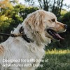 Scout Supply Classic Leather Dog Leash | Strong Heavy Duty