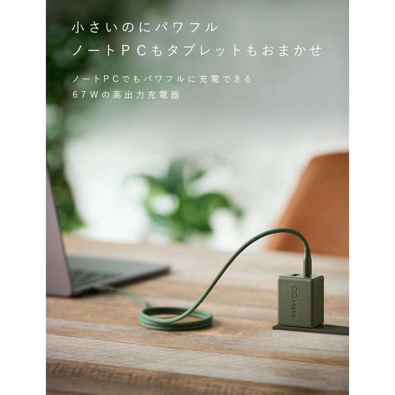 CIO Mate Charger 004 65W1C1A Moss Green
