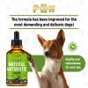 GoldenPaw Dog Antibiotics for Infections, Cough, UTI & Allergy Relief