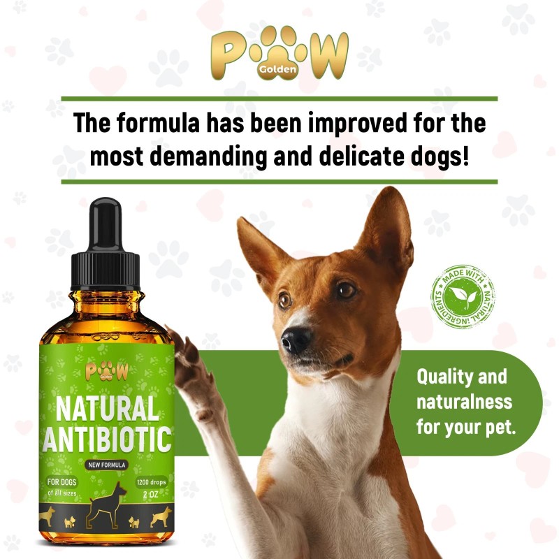 GoldenPaw Dog Antibiotics for Infections, Cough, UTI & Allergy Relief