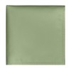 BEWDIO Sage Green Men's Pocket Square, Solid Color Boys Handkerchiefs