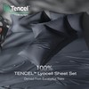 Tencel Sheet Set Queen Size, 100% Eucalyptus Lyocell, Breathable &