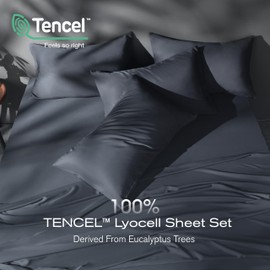 Tencel Sheet Set Queen Size, 100% Eucalyptus Lyocell, Breathable & Cooling Sheets, Deep Pocket Up to 16 Inch, Silky Soft, Ideal for Hot Sleepers - 4PC (Queen, Light Grey)