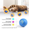Aero Zen Interactive Cat Toys for Indoor Cats,Self Rolling Cat