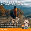 Orvis Pet Travel Collapsible Feeder with Food + Water Dish,