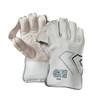 Gunn & Moore GM Cricket Wicket Keeping Keeper Gloves |