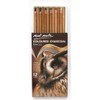 Mont Marte Charcoal Pencils - Coloured 12pc