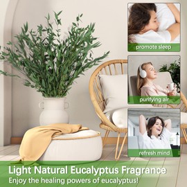 HIAGROW Real Eucalyptus Stems Greenery Decor 20PCS 16" Dried Willow Eucalyptus Plant Preserved Greenery Stems for Home Vase Filler Wedding Flowers Arrangement Decorations