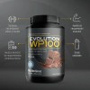 Evolution Wp100 Bote De Moka De 1400 G